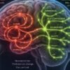 Brain repeating emotional pathways while new healing pathways begin forming