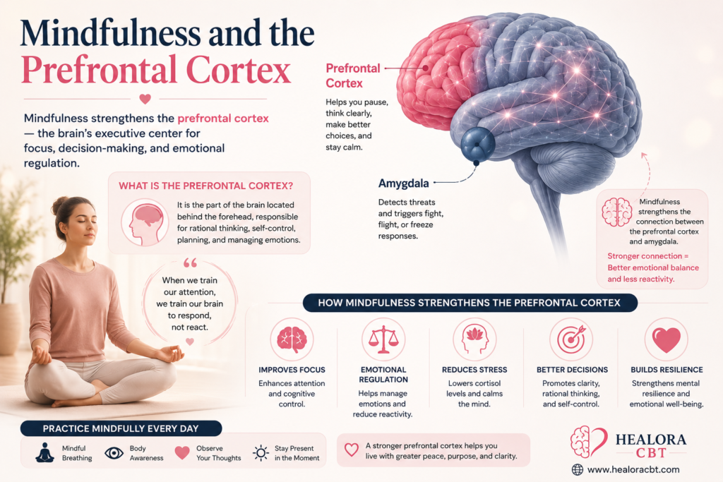 mindfulness and prefrontal cortex