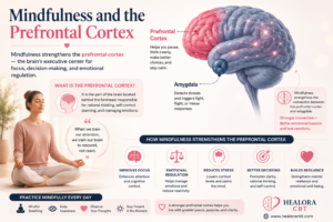 mindfulness and prefrontal cortex