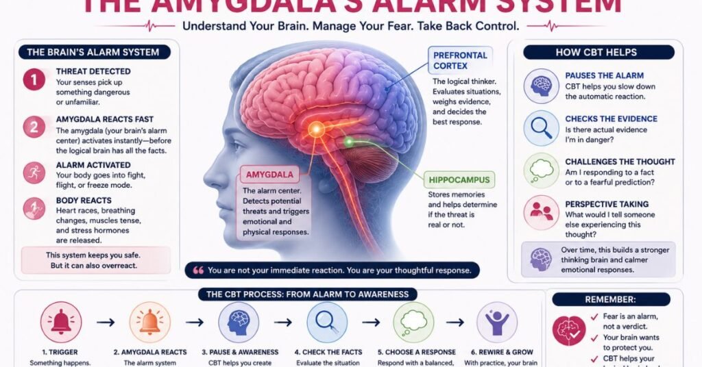  CBT Explains the Amygdala's Alarm System